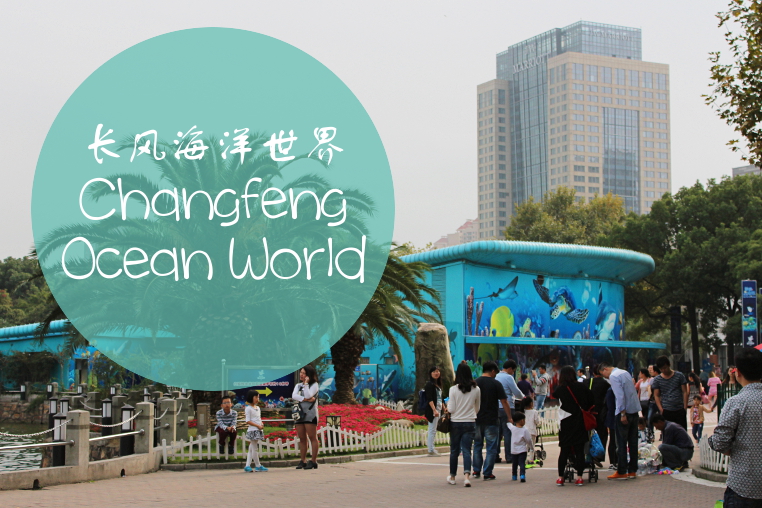 Changfeng Ocean World, Shanghai, China, Aquarium